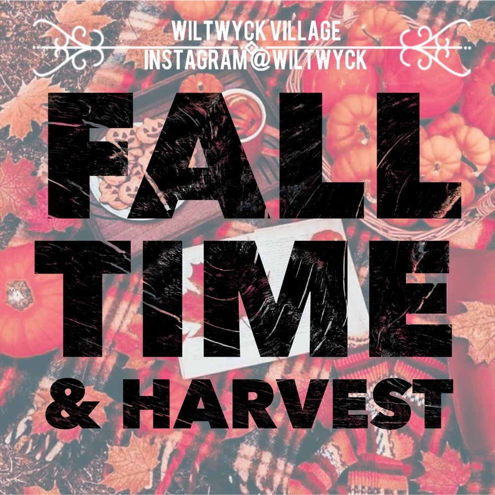 Fall time and Harvest